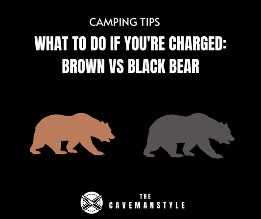 Bear Problem: What to Do If You're Charged with a Bear - The Cavemanstyle