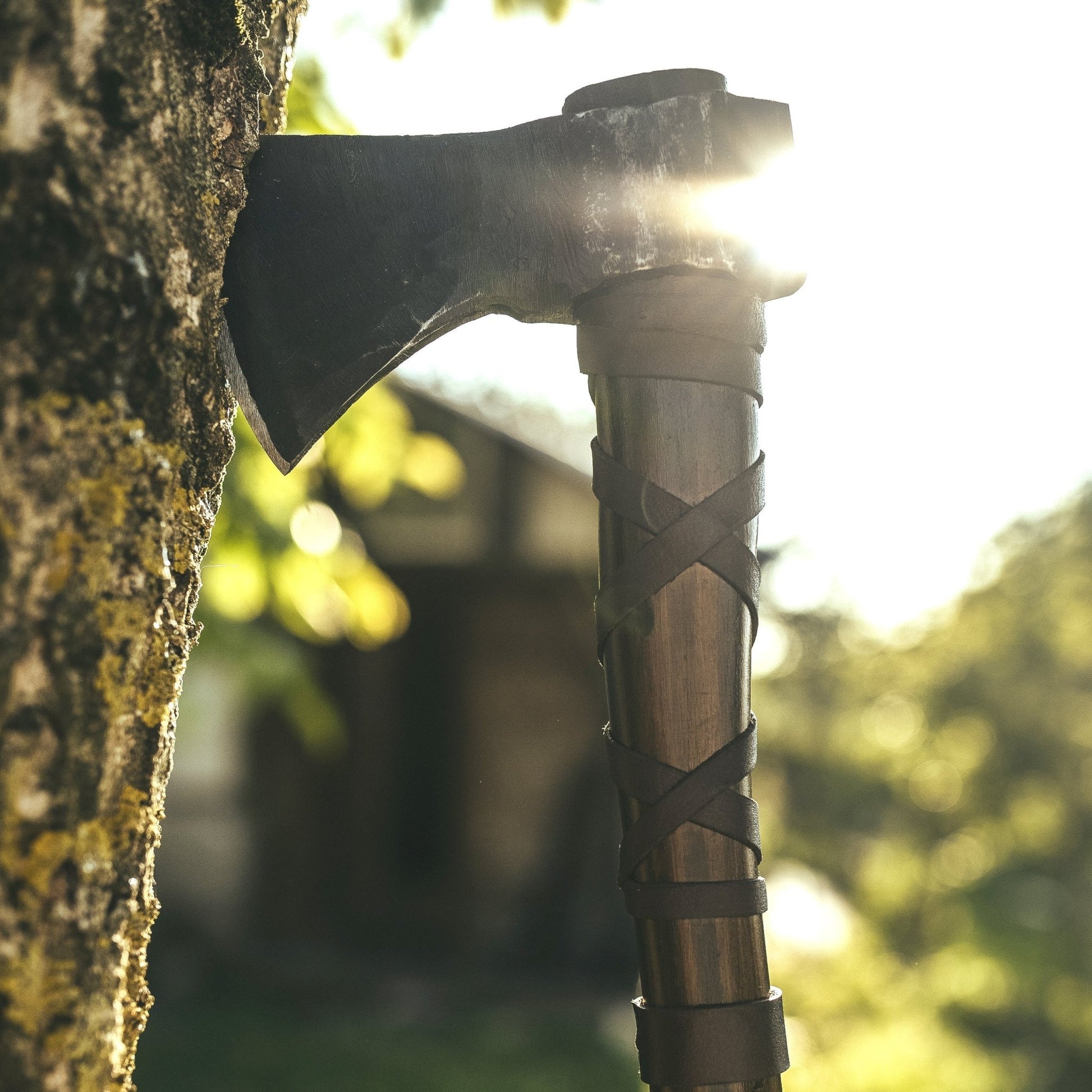 Throwing Axe - The Cavemanstyle